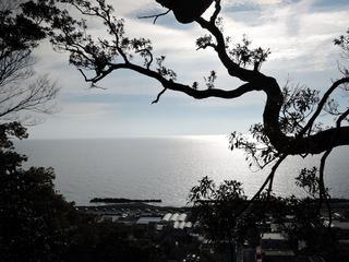 DSCN2450-1.jpg